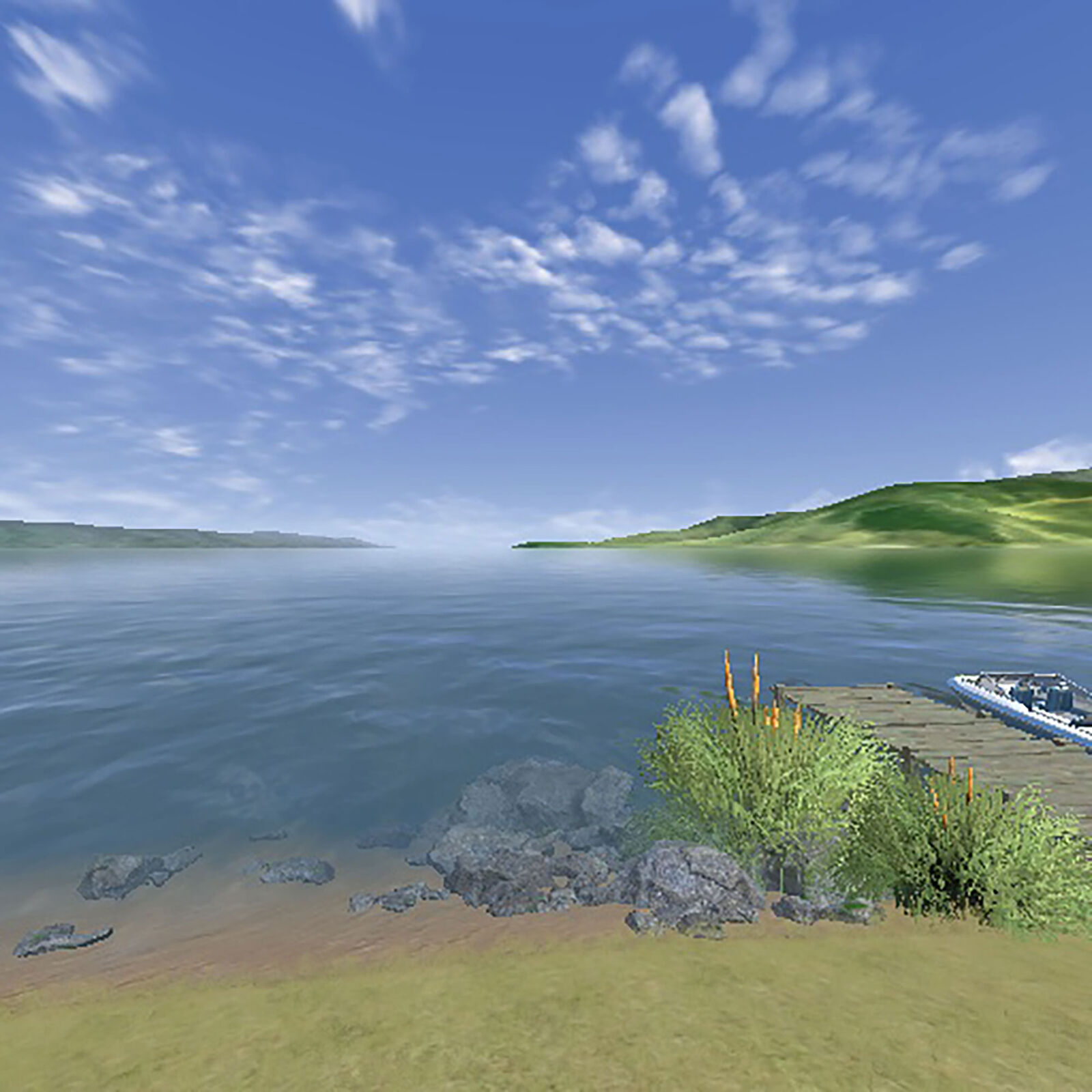 RealFlight Trainer Edition RC Flight Simulator - RFL-1211