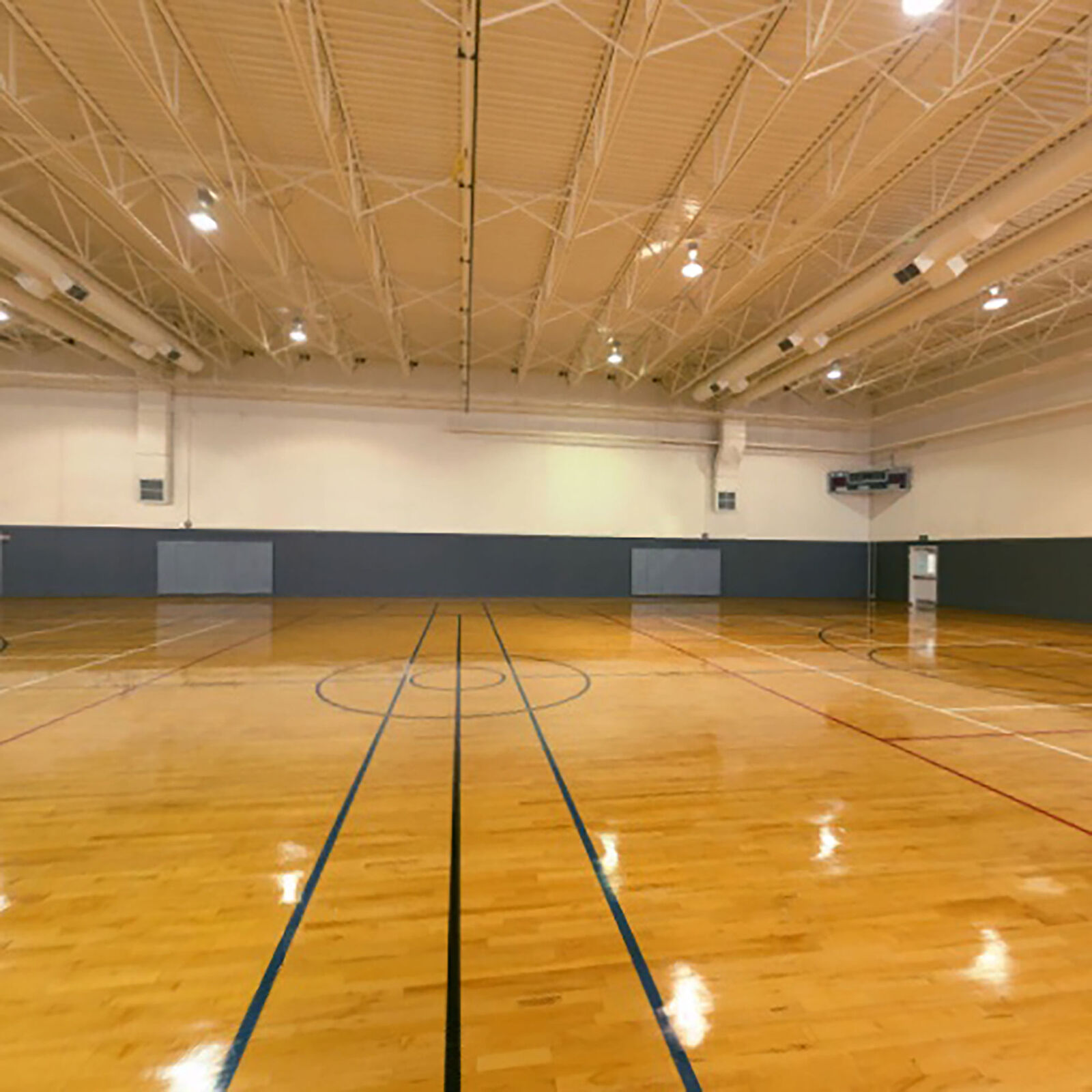 RealFlight Trainer Edition RC Flight Simulator - RFL-1211